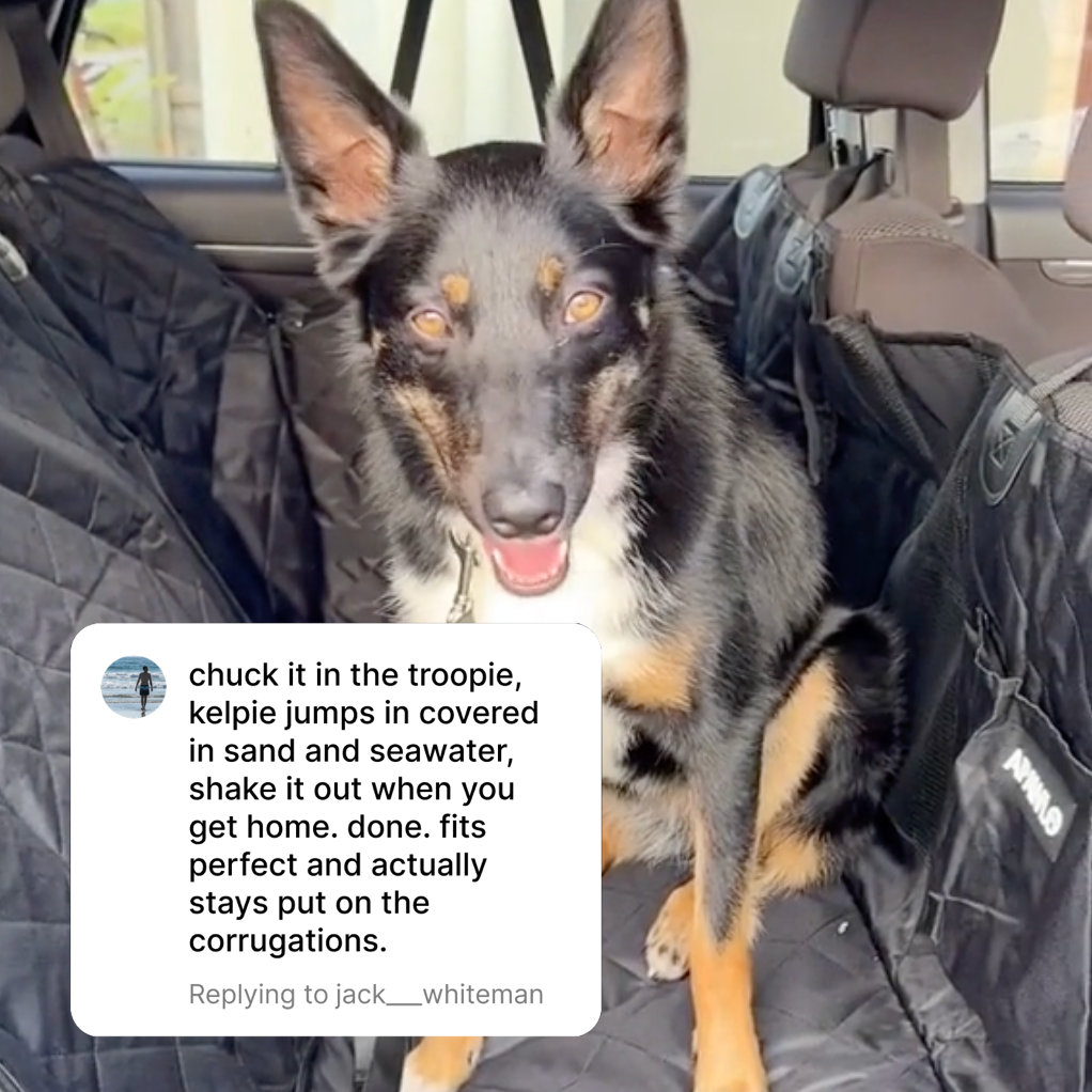 Beach Dog Car Hammock