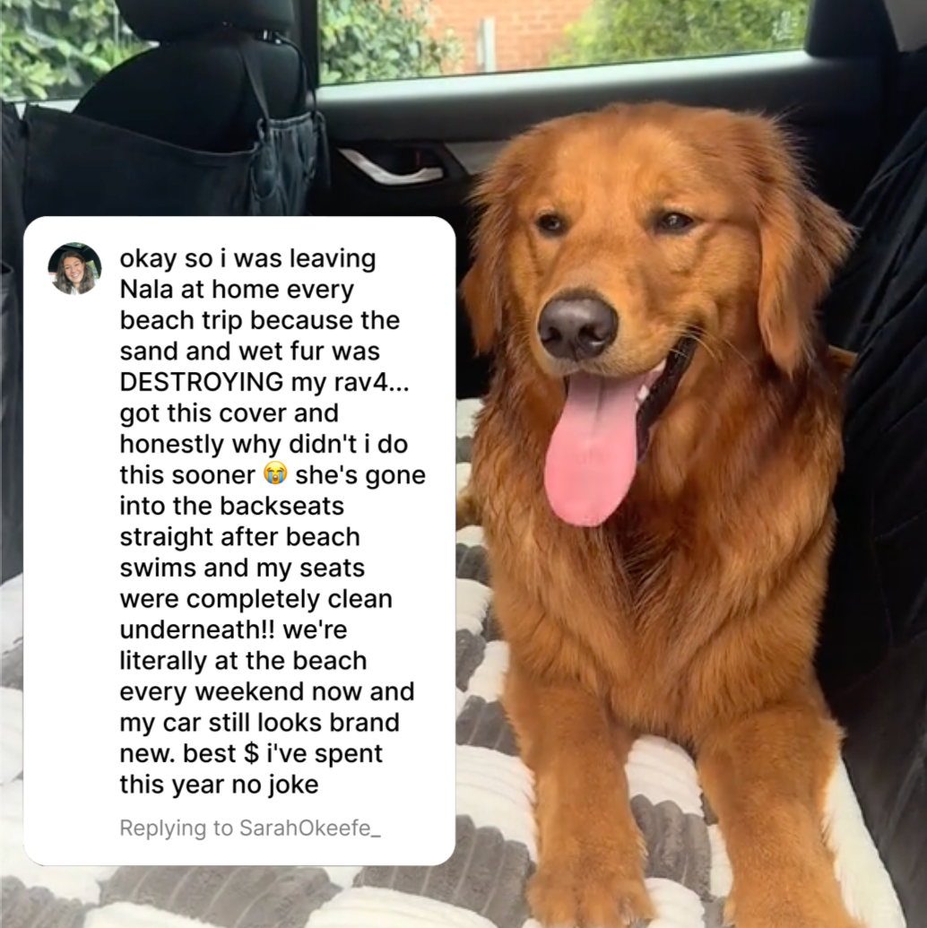Beach Dog Car Hammock