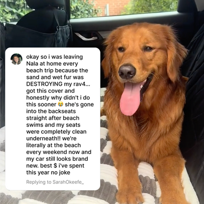 Beach Dog Car Hammock
